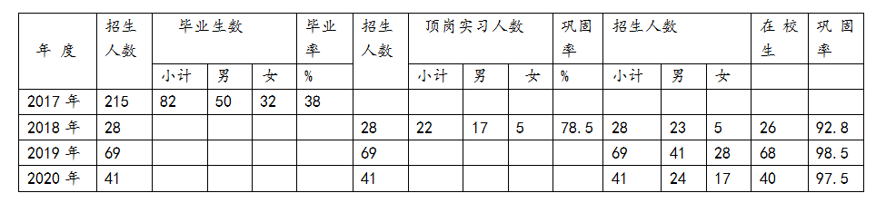 瑞丽国际珠宝翡翠学校 编制年度质量报告